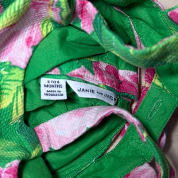 Janie and Jack Collections Green Shrub Rose Print Rose Pleated Dress - Picture 4 of 7